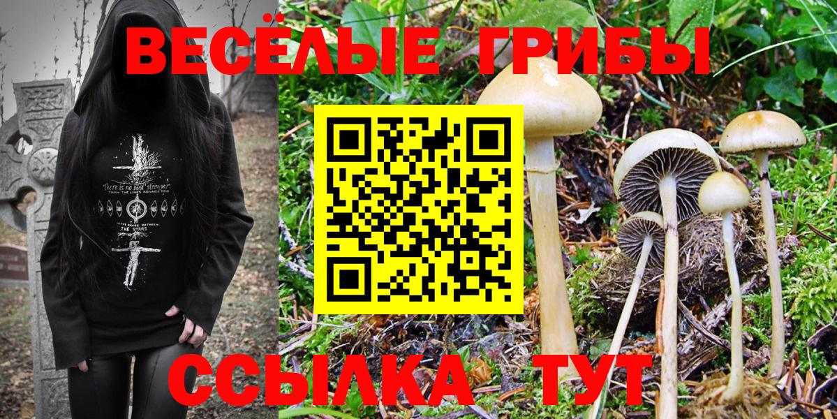 Псилоцибиновые грибы GOLDEN TEACHER Бузулук